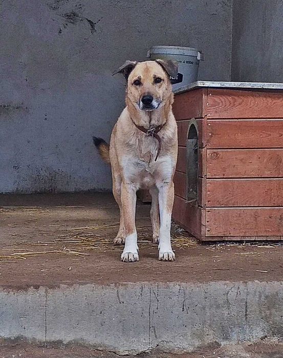 Rudlof , może w końcu będzie miał szczęście w życiu