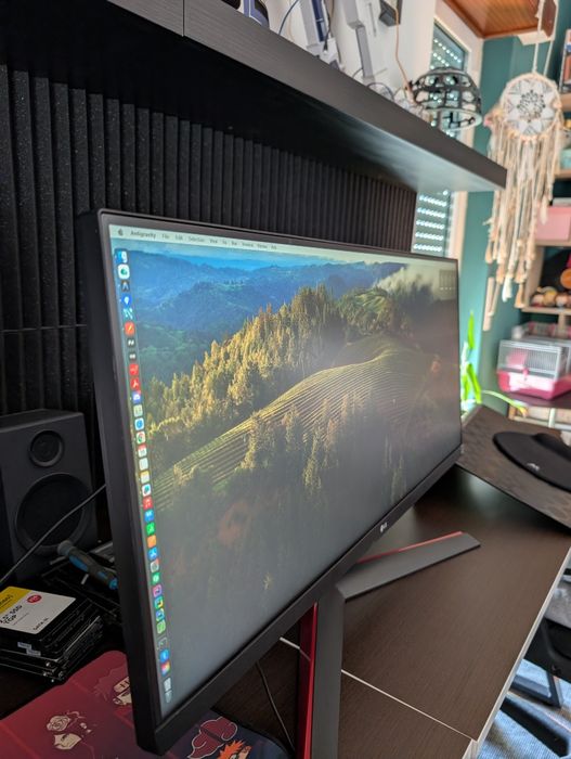 Monitor LG ultrawide 29 USB C