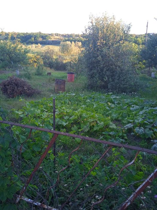 Земельна ділянка, продам