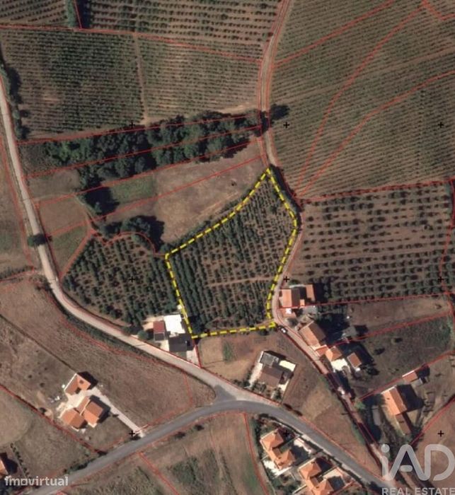Terreno em Vilar