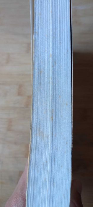 O Porteiro de Pilatos ou o Segredo do Judeu Errante