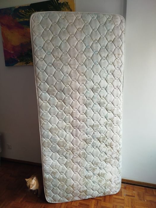 Estrutura e cama individual com oferta 2 edredões ursinhos