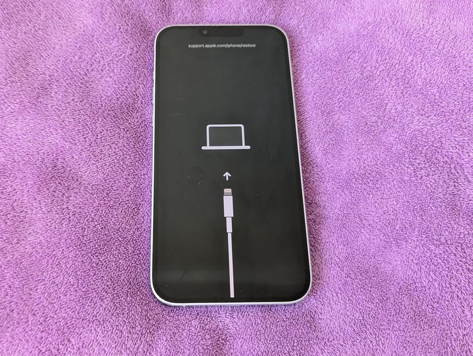 iPhone 14 Plus Purple
