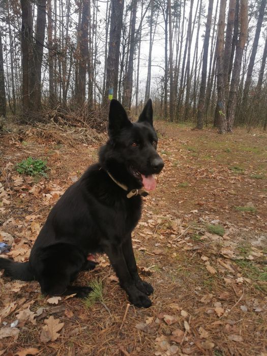 Кабєль для вязки