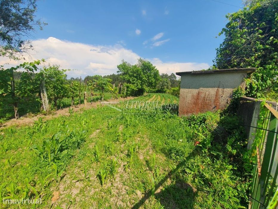Terreno | Construção Moradia Isolada — Angeja, Aveiro