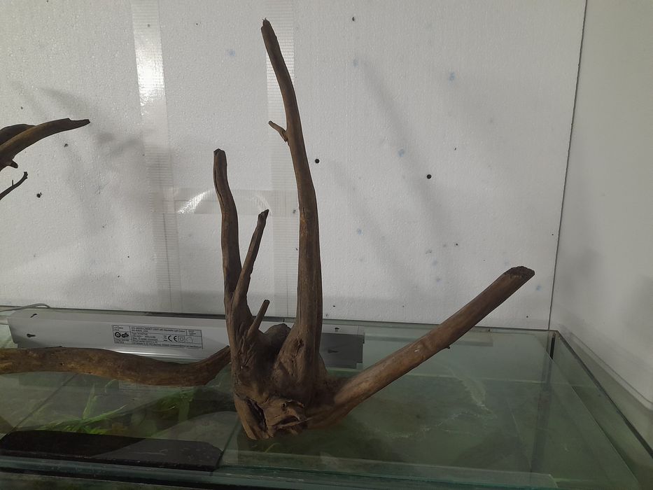 Korzenie do akwarium , naturalne