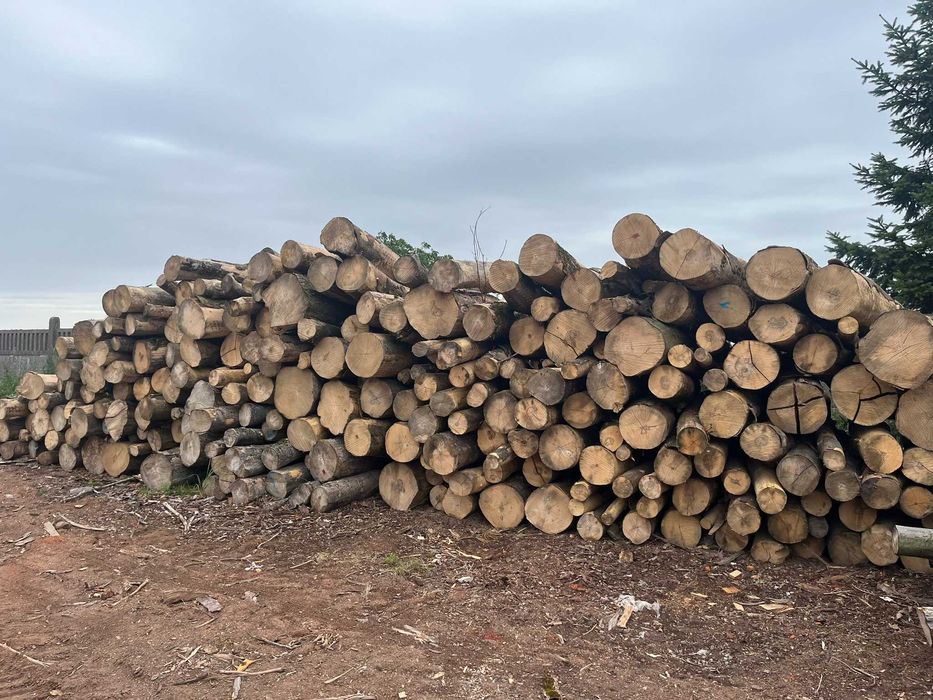 Drewno opałowe, kominkowe wałki