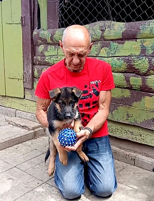 Питомник предлогает щенков