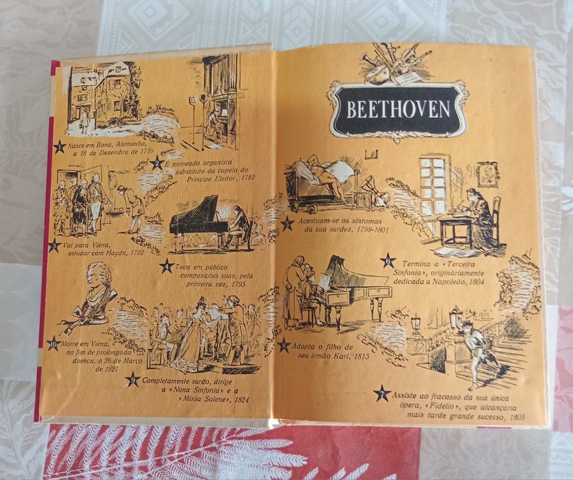 Livro Beethoven antigo