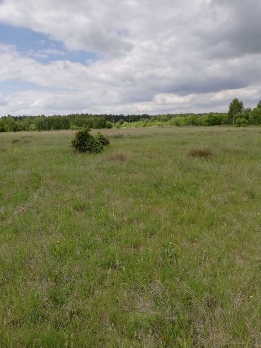 Działka budowlana z warunkami zabudowy i mediami Osina - Widok 5