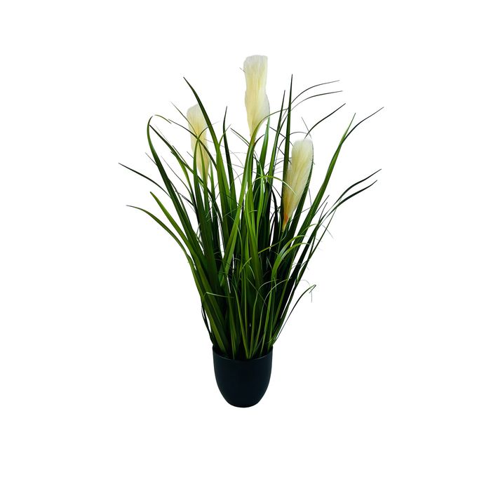 Trawa pampasowa premium – elegancka dekoracja do wnętrz