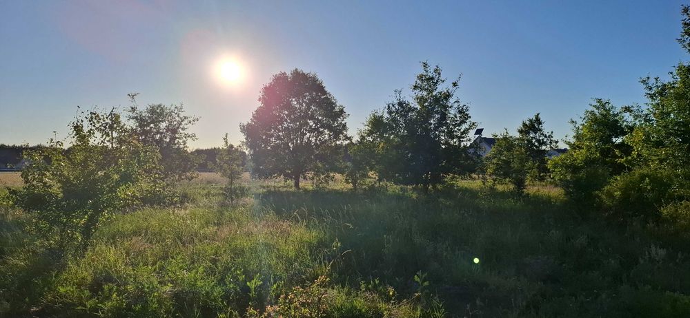 1300 m2 Grzymalin