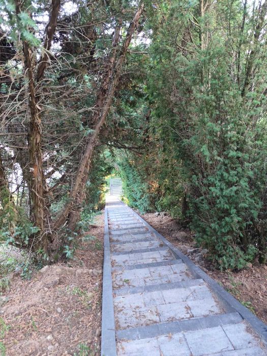 Wynajem domków nad jeziorem Wieldządz kujawsko-Pomorskie blisko A1