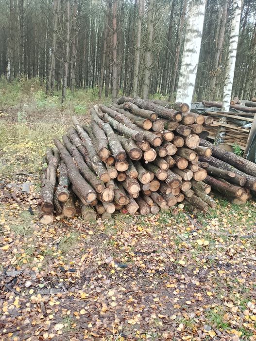 Kołki słupki debowe ogrodzenia budowlane, huśtawka