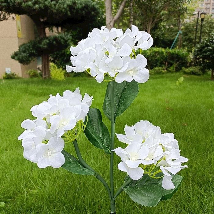 Hortensje – piękna dekoracja do ogrodu z ciepłym światłem