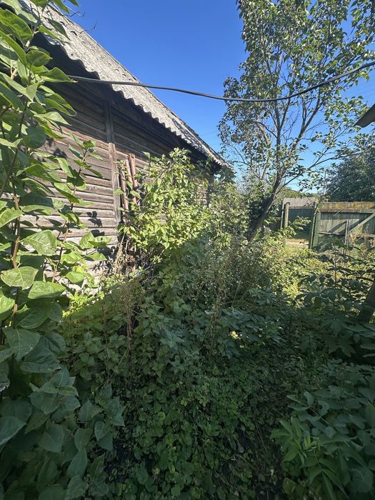 Продам дом с. Красное по трассе Киев - Чернигов