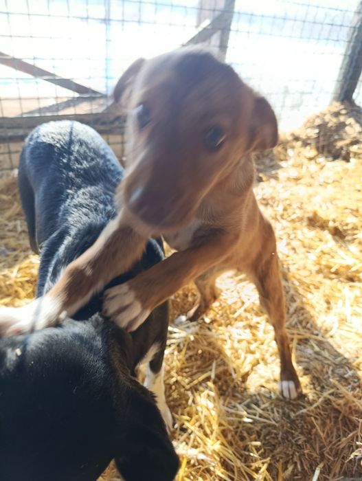 Дівчинка шукає домівку