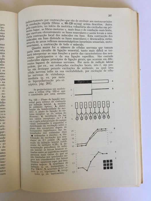 Zoologia Geral - Ernst Hadorn e Rudiger Wehner