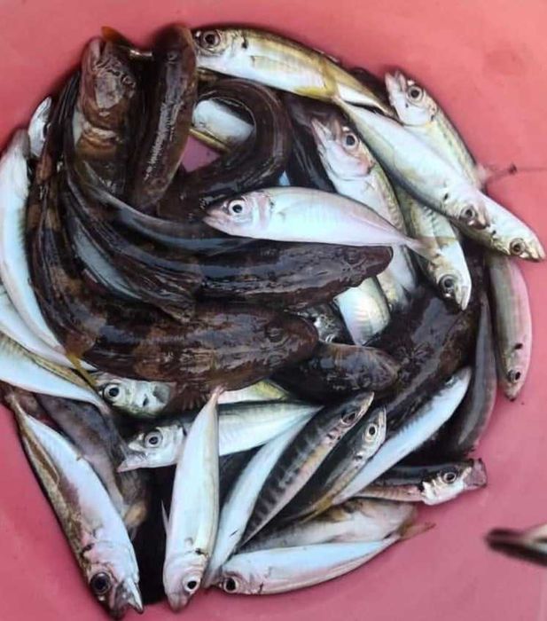 Отдых прямо у моря  - жилье, беседки, шезлонги