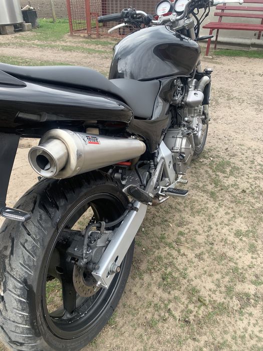 Продам Honda hornet 600