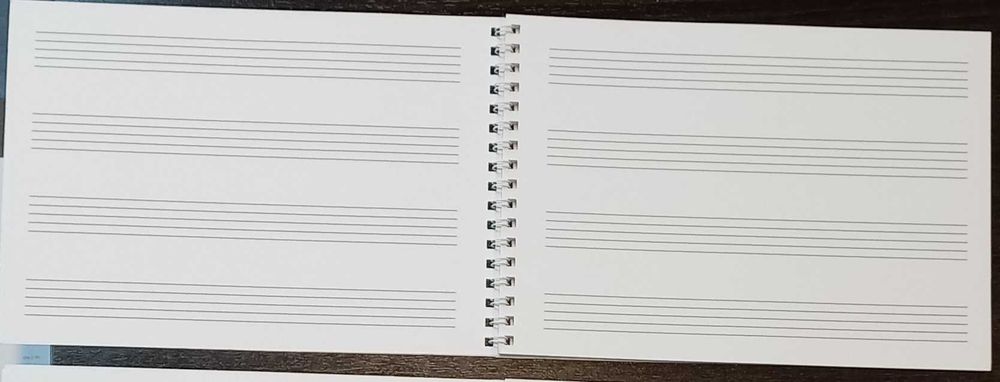 Caderno pauta musicais (pautas de grandes dimensões)