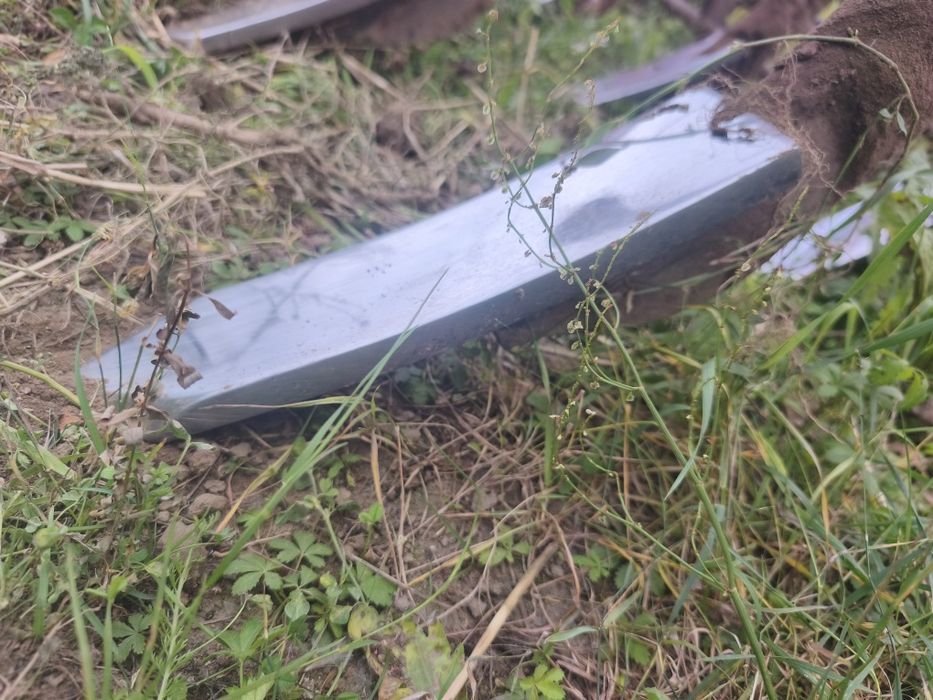 Głębosz bezorkowiec agregat