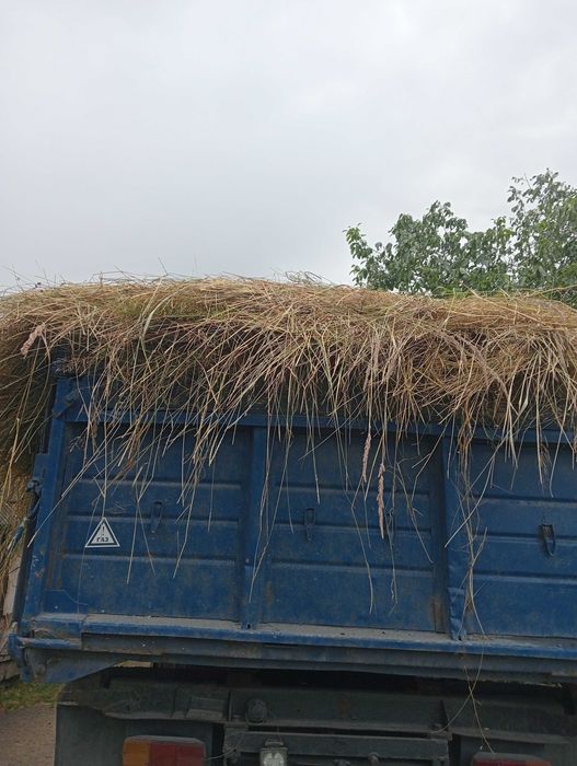Продам сіно свіжого покоса