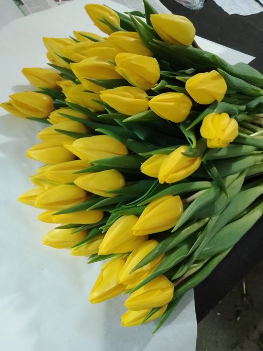 Тюльпани гуртом до 8 березня