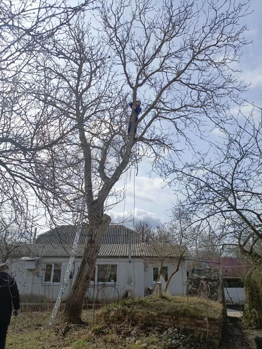 Вивіз сміття.Демонтаж.Зрізка дерев.Прибирання треторій.Покос Трави