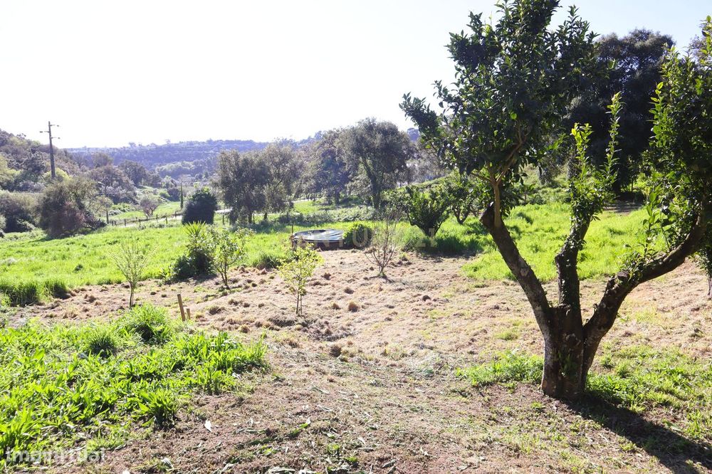 Moradia para renovar em Santo Estevão das Galés inserida num terreno d