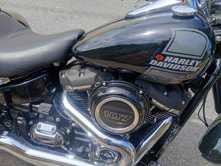 Harley Davidson softail