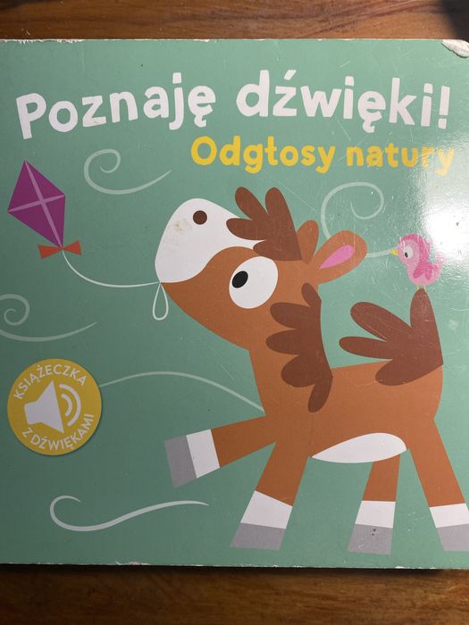 Ksiażeczka „poznaję dźwięki , odglosy natury”