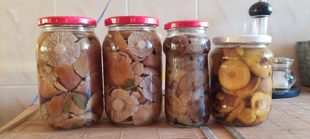 Grzyby marynowane 4sztuki