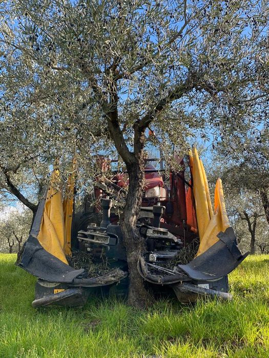 Vibradores para Azeitona e Amêndoa