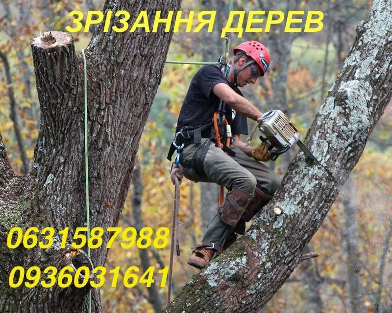 Зрізання дерев,  розчистка ділянок, Вивіз сміття