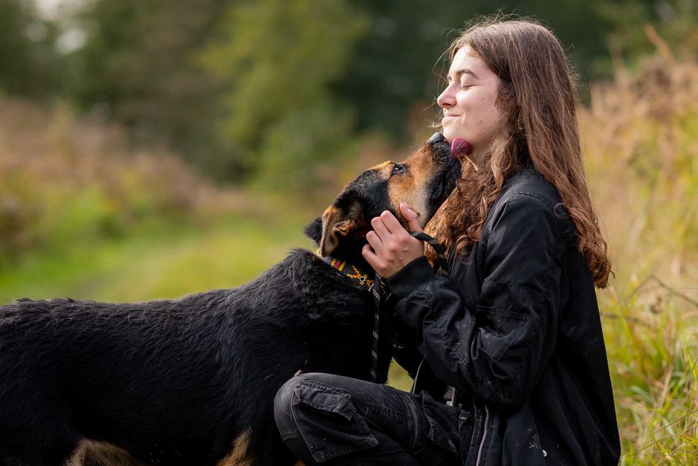 Elton: schroniskowy weteran gaśnie w oczach ;(
