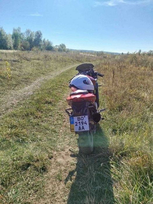 Мустанг 250  продам