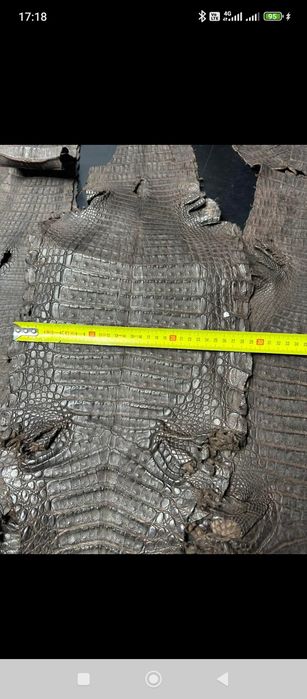 Экзотическая кожа Croco, Игуаны, Змеи