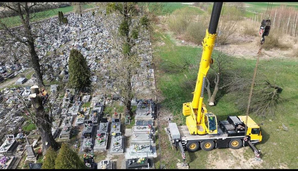 Kompleksowa wycinka drzew, frezowanie pni, rębakowanie usługi wywrotką