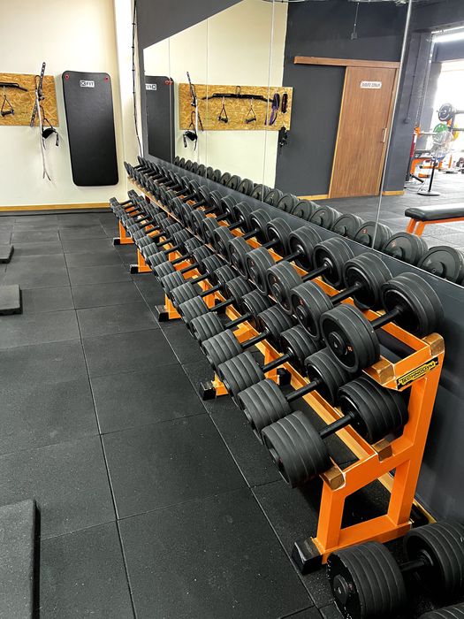 Conjunto Halteres + Suporte TechnoGym 4kg - 44kg