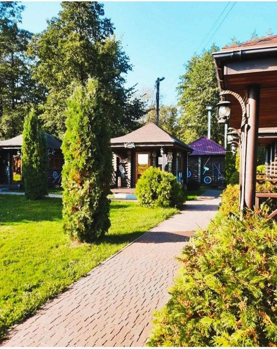 Продаж діючого бізнесу комплекс «Хутір Рибацький» 3.5 ГА, Озеро, Ліс