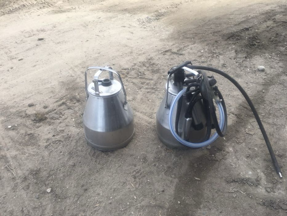 Bańki do dojenia mleka