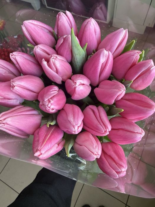 Продажа тюльпана ОПТ/РОЗНИЦА 40 грн