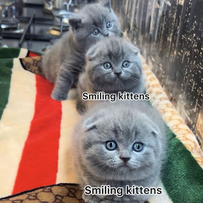 Розкіш в кожній деталі