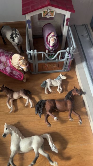 Koniki schleich zestaw