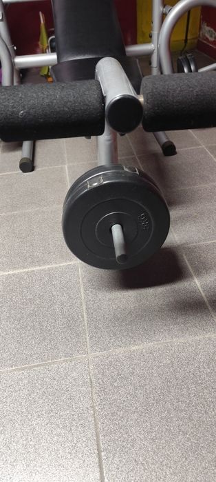 Weight Training Bench456526464423700481