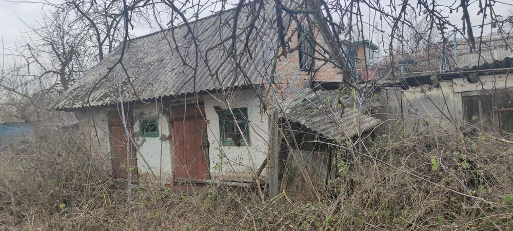 Дом Новая Басань