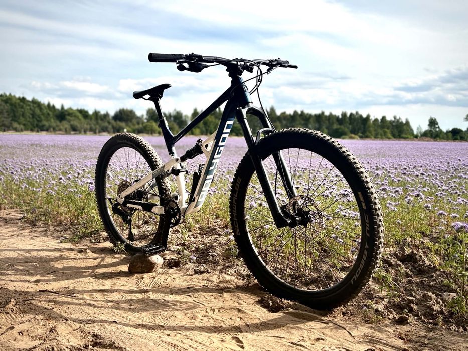 Polygon siskiu d7