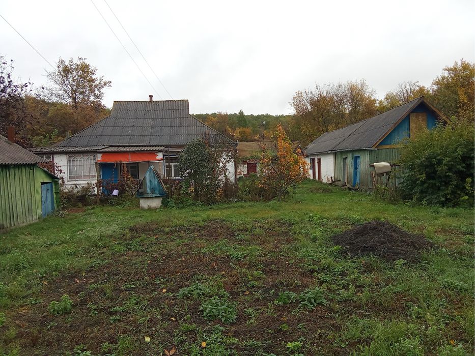 Дом в селе Лисовичи