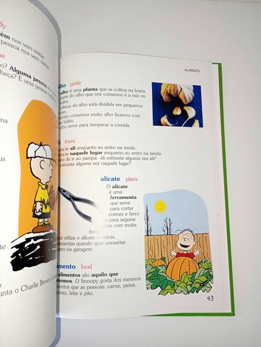 O Dicionário de Charlie Brown - N1